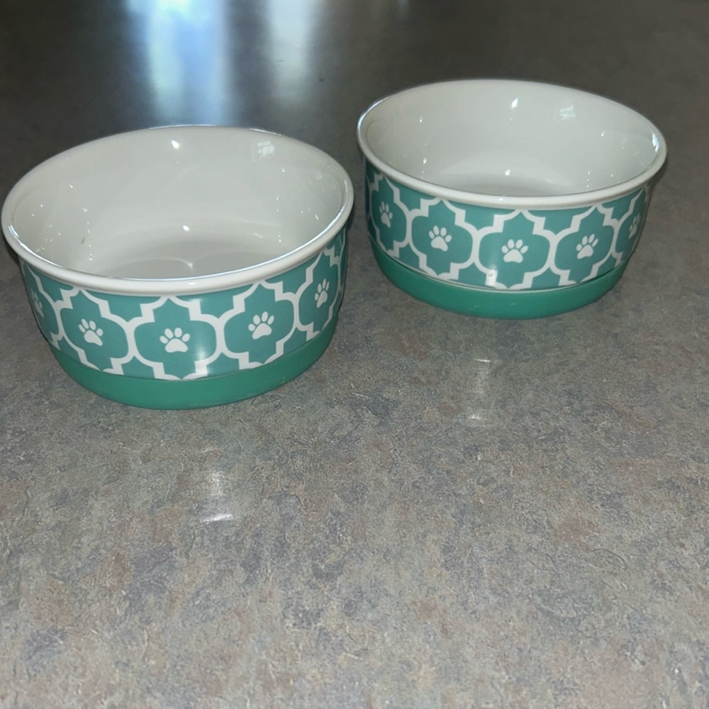 Bone dry pet food bowls. Both for $15. Mint green and white. Ceramic